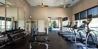 Cortland Preston North Gallery 11