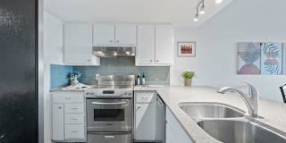 1101 Hollow Creek Drive Gallery 16