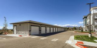 Citizen on Constitution Gallery 18