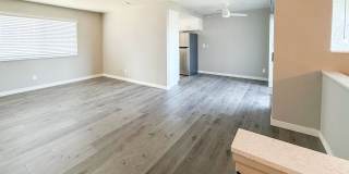 Titan Landing Gallery 1