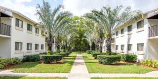 Legacy Vista Palms Gallery 11