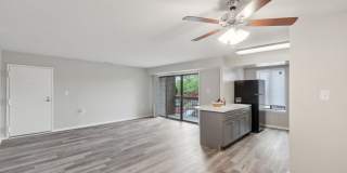 Grove at Alban Gallery 17