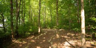 Vintage Creekwood Park Apartments Gallery 29