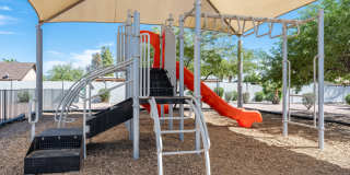 Renaissance Gallery 41