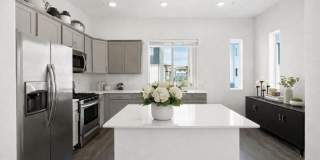 Summit Ridge Gallery 10