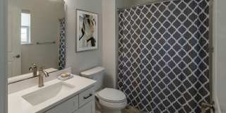 The Springs Gallery 36