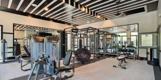 Thrive at University City Gallery 6