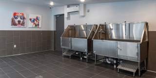 Cortland on Orange Gallery 37