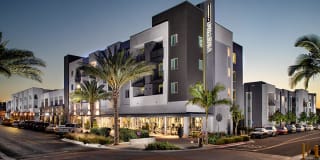 Boardwalk at Millenia Gallery 28