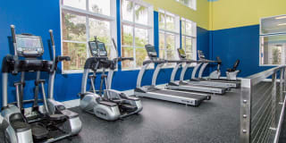 Preserve at Tampa Palms Gallery 19