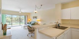 19385 WATER OAK DRIVE Gallery 11
