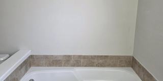 3751 LONGLEAF FOREST Lane Gallery 10
