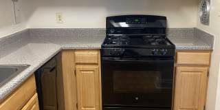 Hewitt Gardens Gallery 6