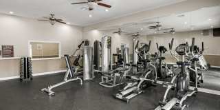 Park at Avellino Gallery 21