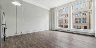 ReNew on Stout Gallery 19