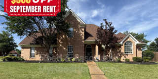 3066 Shadow Green Gallery 1