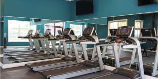 3925 Haverford Ave -The GrandView West Gallery 172