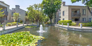 Park Lake at Walnut Creek Gallery 37