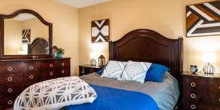 Paugus Woods Gallery 26