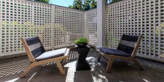 Amador Village Gallery 14