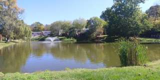 1005 Lakefront Drive Gallery 43