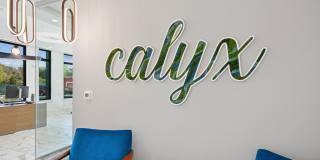 Link Apartments Calyx Gallery 2