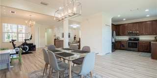 11031 Yellow Poplar Dr Gallery 7