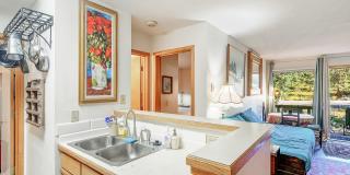 FRISCO ! Furnished! 1 pet negotiable!  An Artist's retreat! Must see. Gallery 6