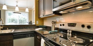 Crooked Oak Gallery 19