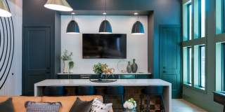 Isla Palmetto Gallery 46