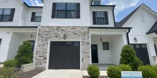 764 Putney Hill Road - 1 Gallery 1