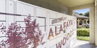 Alafaya Woods Gallery 31