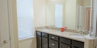 13107 Canopy Creek Drive Gallery 9