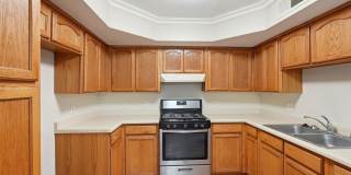 7536 LE CONTE Drive Gallery 9