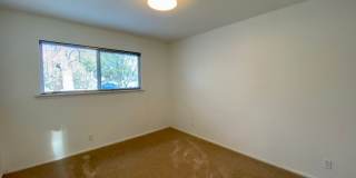 Hidden 4 Bed 2 Bath Gem in South Austin! Gallery 6