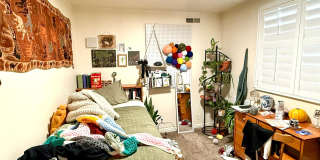 836 North University Avenue - 3 Gallery 7