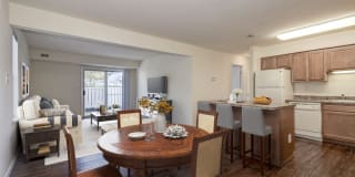 New Forest Gallery 2
