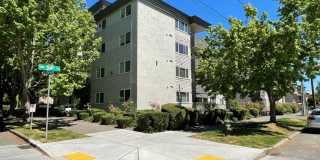 (1K) Kristine Apartments Gallery 29