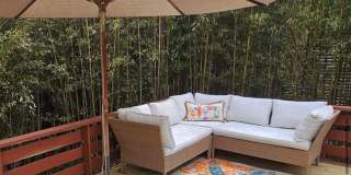 892 Evergreen Walk Gallery 11