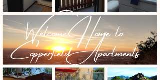 Copperfield Gallery 1