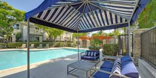 The Tradition Gallery 14