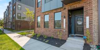 44504 WOLFHOUND Square Gallery 2