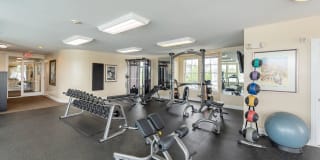 River House Apartments Gallery 16