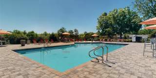 Vue on Medlock Gallery 23