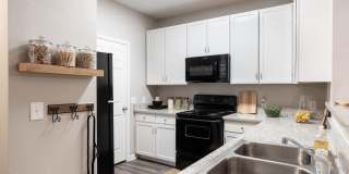 Villas at Zaragosa Gallery 2