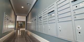 Cadence Apartments Gallery 17