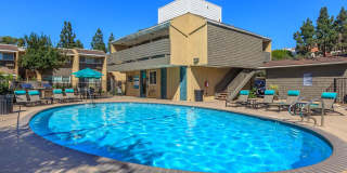 Vue at Lake Murray Apartments Gallery 7