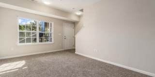 TGM Meadow View Gallery 42