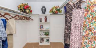 Adobe Springs Gallery 11