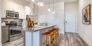 Maven at Wheaton Gallery 21